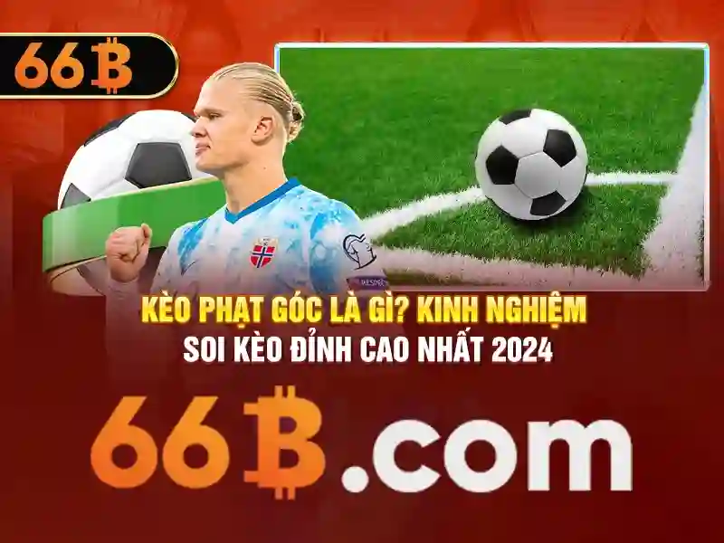 66B: Mô hình ngôn ngữ 66 tỷ tham số và hành trình của nó