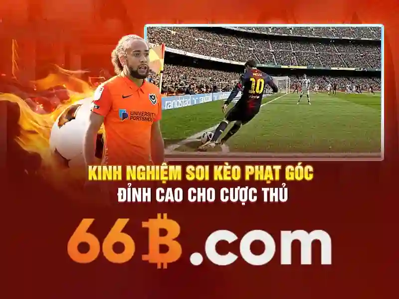 Kết luận về 66B