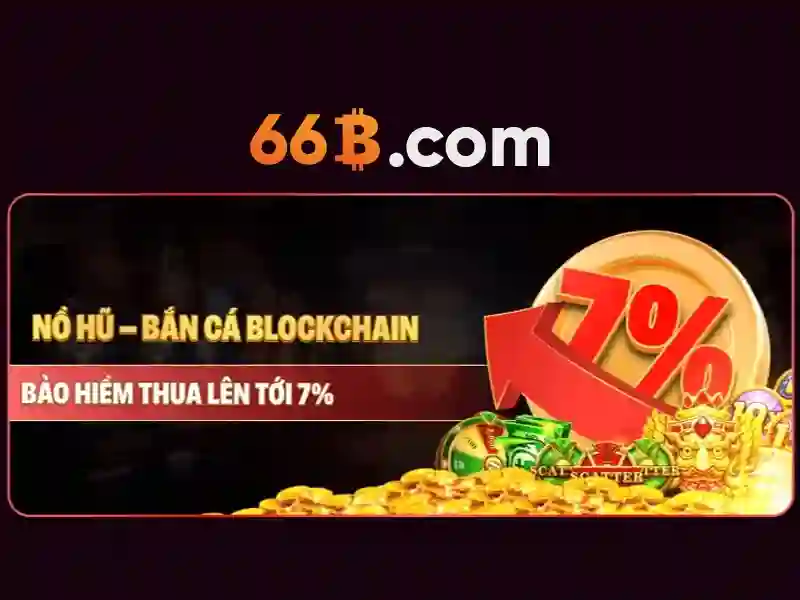 66b: khái niệm và ảnh hưởng trong thế giới số