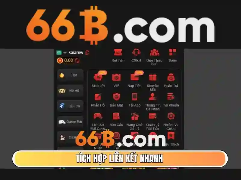 66b là một khái niệm trong nhiều lĩnh vực