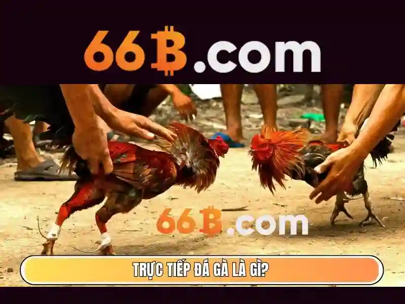 66b: một cái nhìn tổng quan về mô hình ngôn ngữ với 66 tỷ tham số