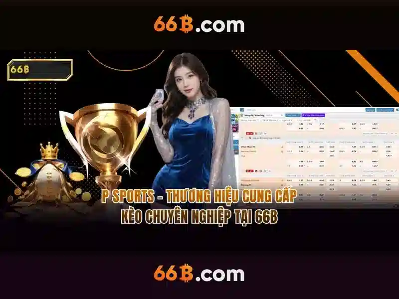 Ý nghĩa và phạm vi ứng dụng của 66B