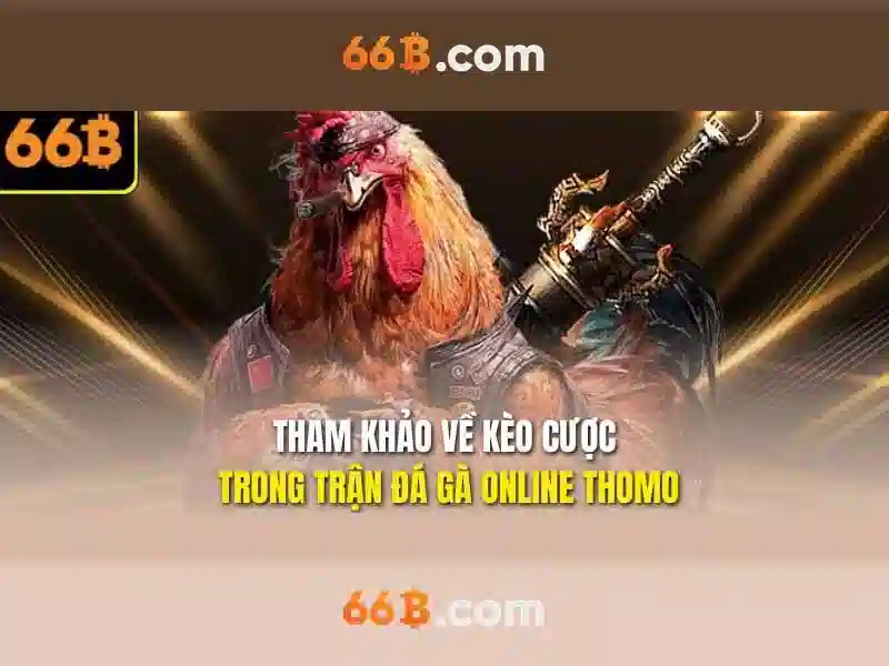 Kiến trúc và đặc điểm
