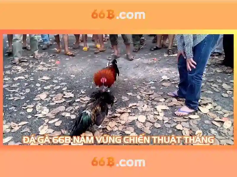 Tương lai của 66b và sự kết nối với AI khác