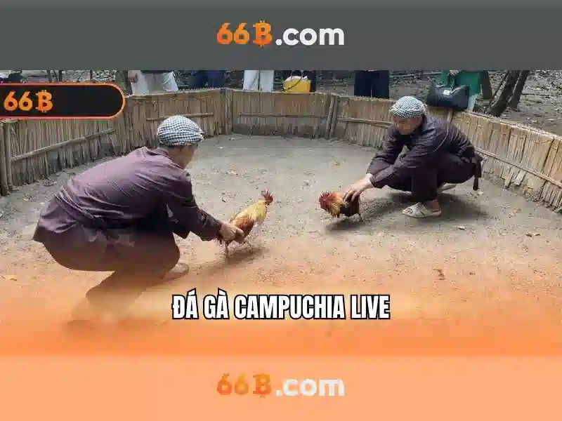 66B: Mô hình ngôn ngữ kích thước 66 tỷ tham số