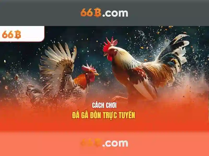 Các thách thức và đạo đức