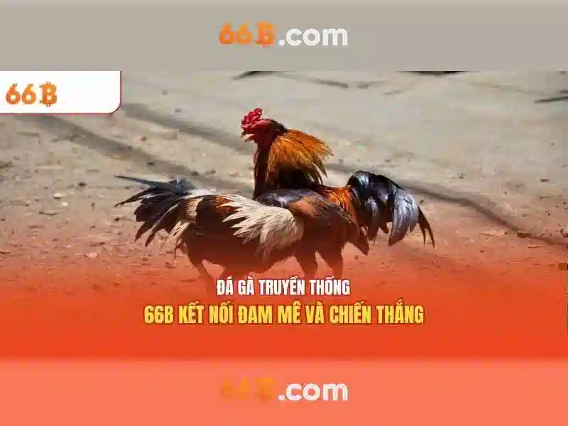 66b: một ký hiệu và câu chuyện của sự đổi mới