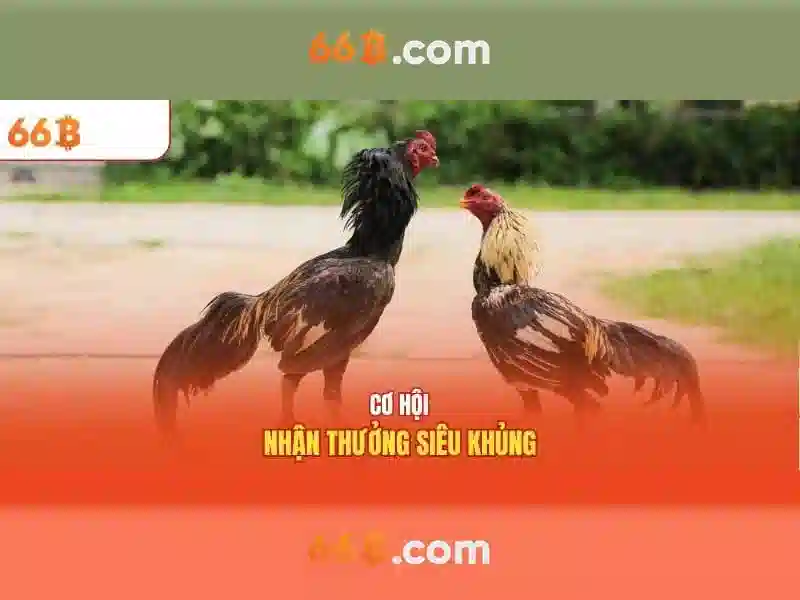 66b là gì và vai trò của nó trong công nghệ hiện đại