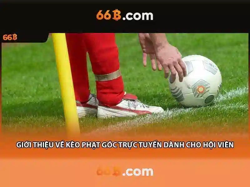 Tương lai của 66B và mô hình lớn