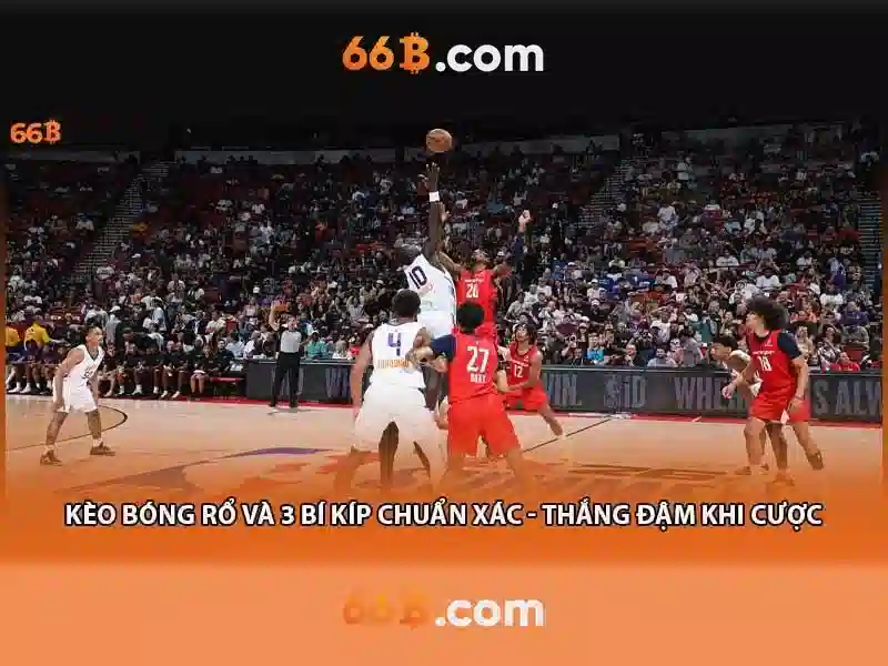 Khám phá 66B: Mô hình ngôn ngữ quy mô lớn