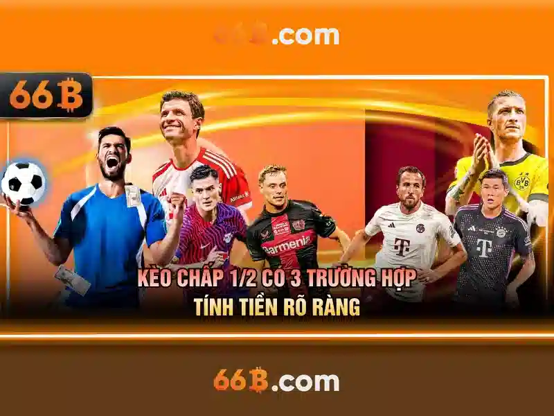 66b trong văn hóa và cộng đồng