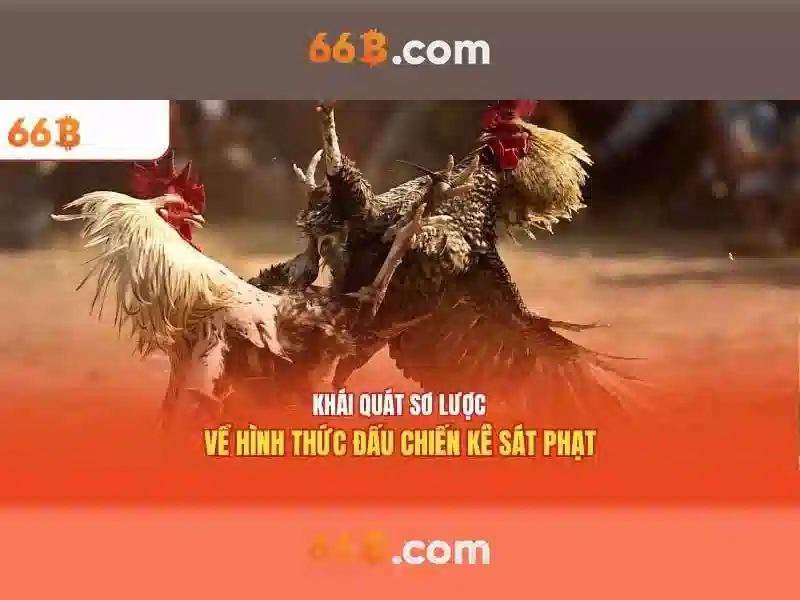 66B: một cái nhìn về mô hình ngôn ngữ 66B