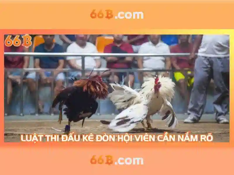 bao-ve-nguoi-choi-qua-33