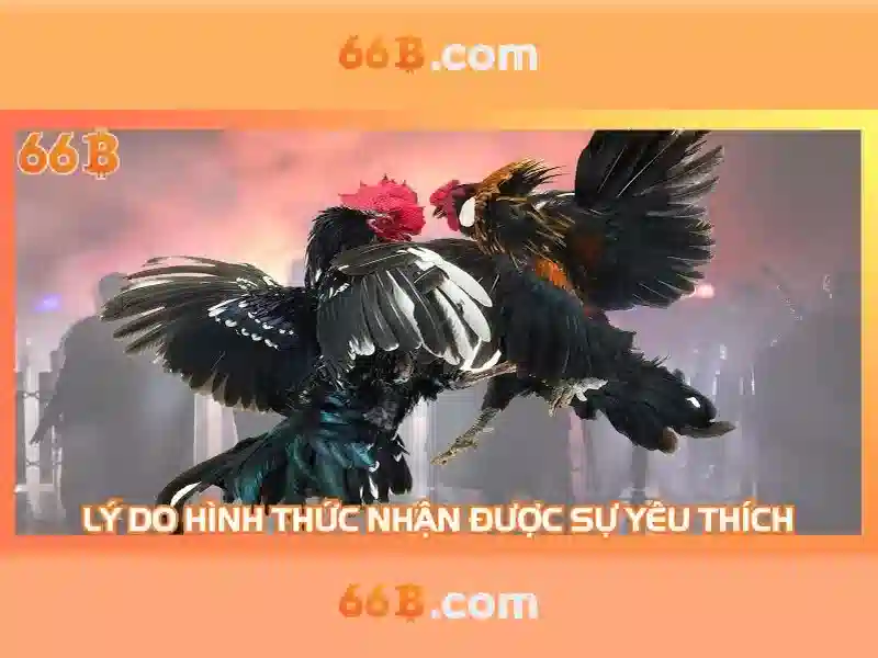 Các thành phần chính của 66b-