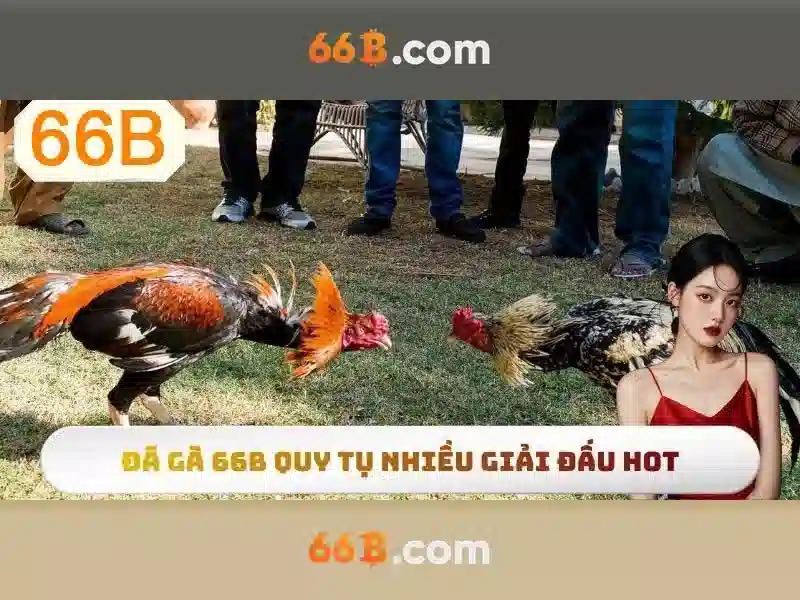 66b: một khái niệm và hành trình của nó