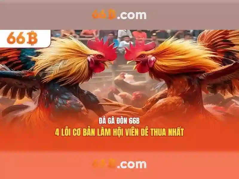 66b là gì?