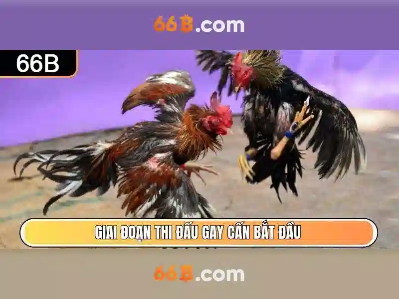 Kiến trúc và tham số