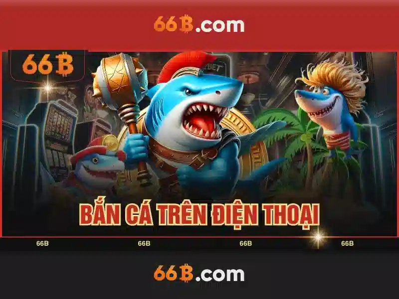 Nguồn gốc và kích thước 66B