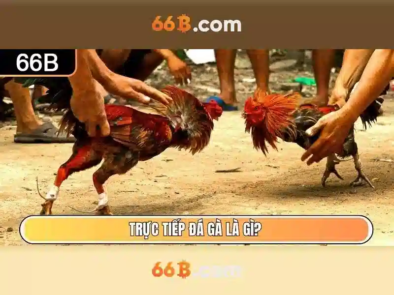 Cấu hình và khả năng