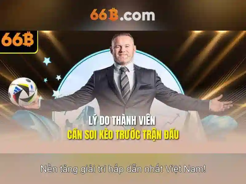 phan-hoi-nha-dau-tu-ung-dung