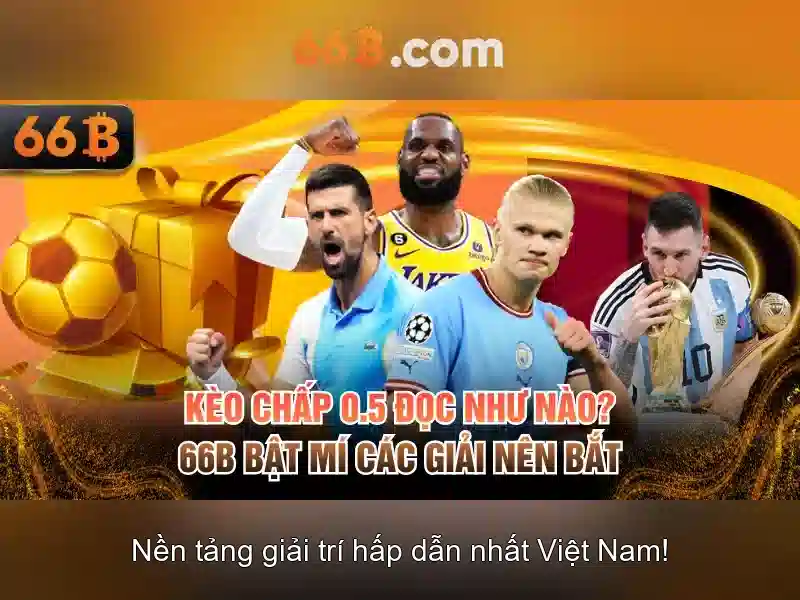 Kiến trúc và tối ưu hóa