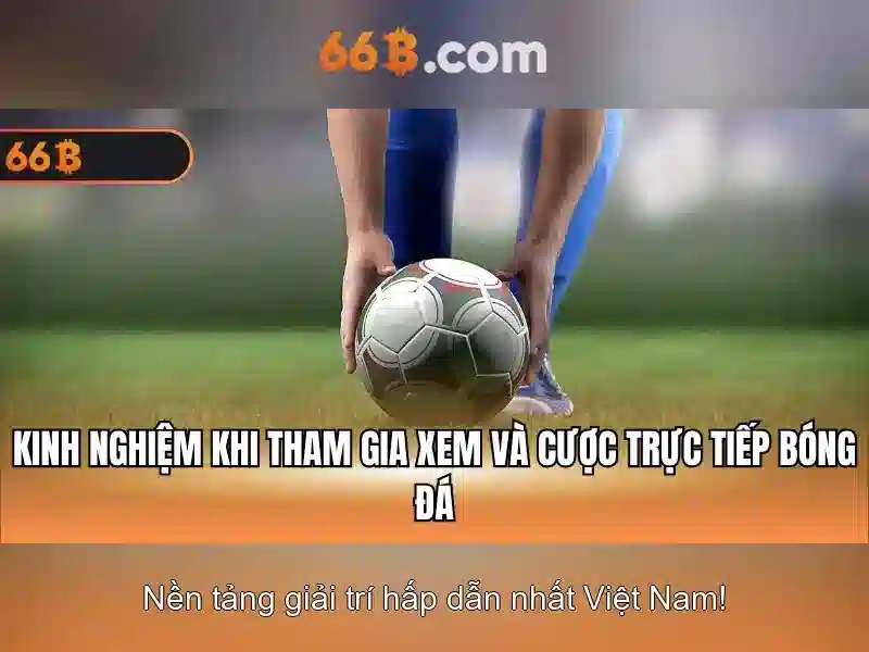 Kiến trúc và quy mô của 66B