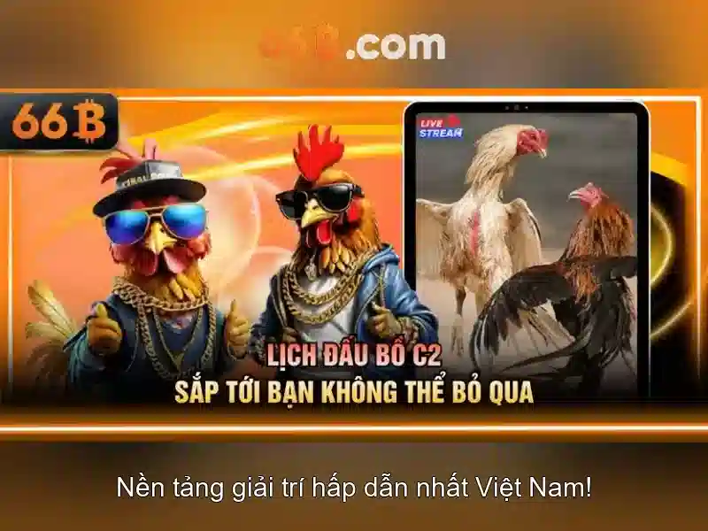 66b: một mô hình ngôn ngữ lớn cho kỷ nguyên AI