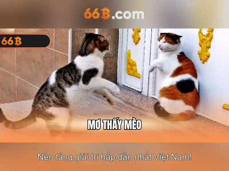 66b: một khái niệm đa lĩnh vực trong khoa học và nghệ thuật