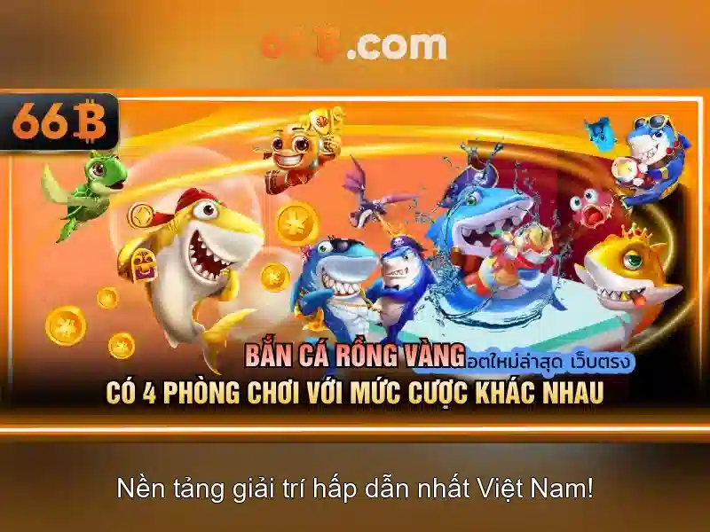 66b - Tổng quan và tiềm năng