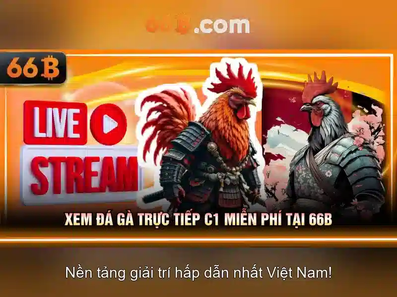 Kiến trúc và tham số của 66b