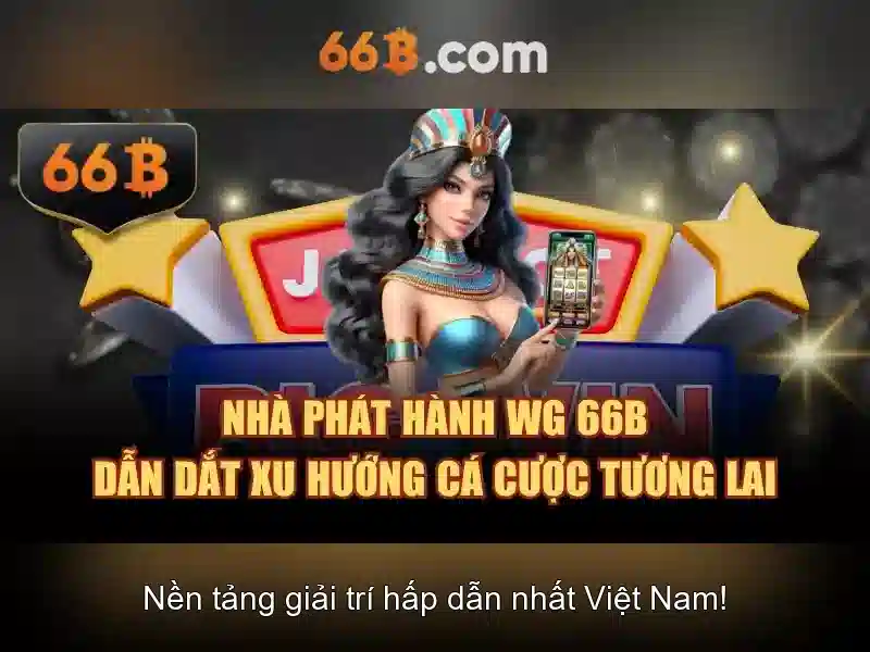 Định nghĩa và phạm vi của mô hình 66B