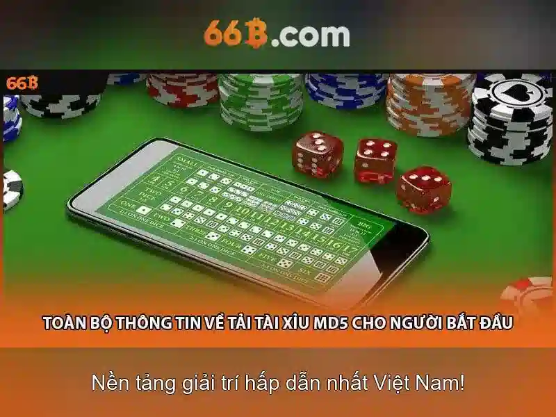 66b: Khái niệm, cấu trúc và ứng dụng