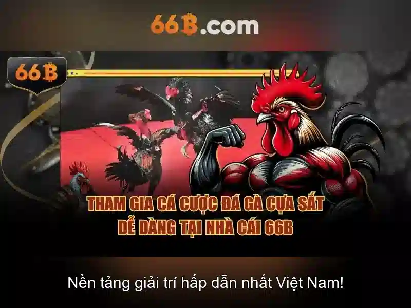 66b là gì và vì sao nó thu hút sự chú ý