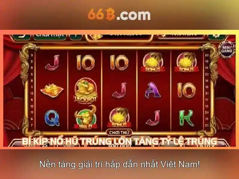 66B là gì và những điều cần biết