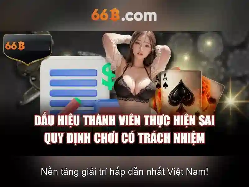 66b là gì? Một cái nhìn tổng quan