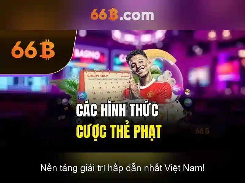 Khái niệm cơ bản về 66b