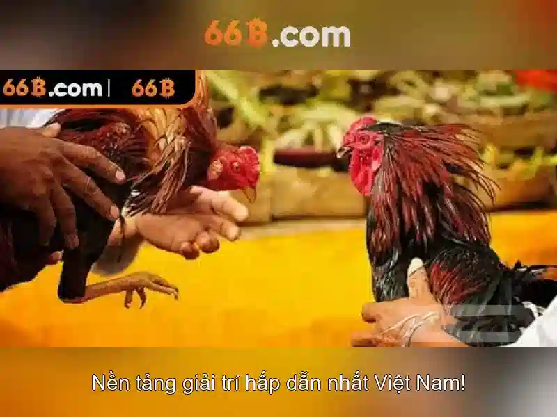 66b-esports-security