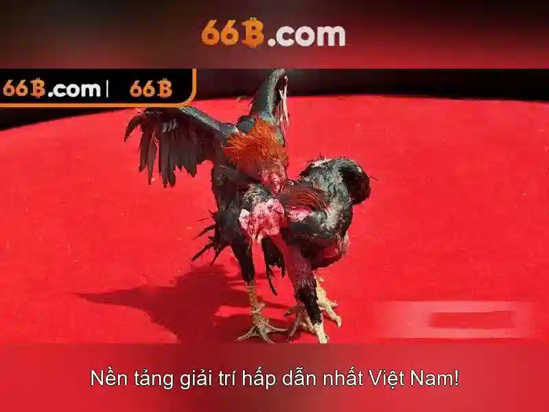 66b trong thế giới công nghệ hiện đại