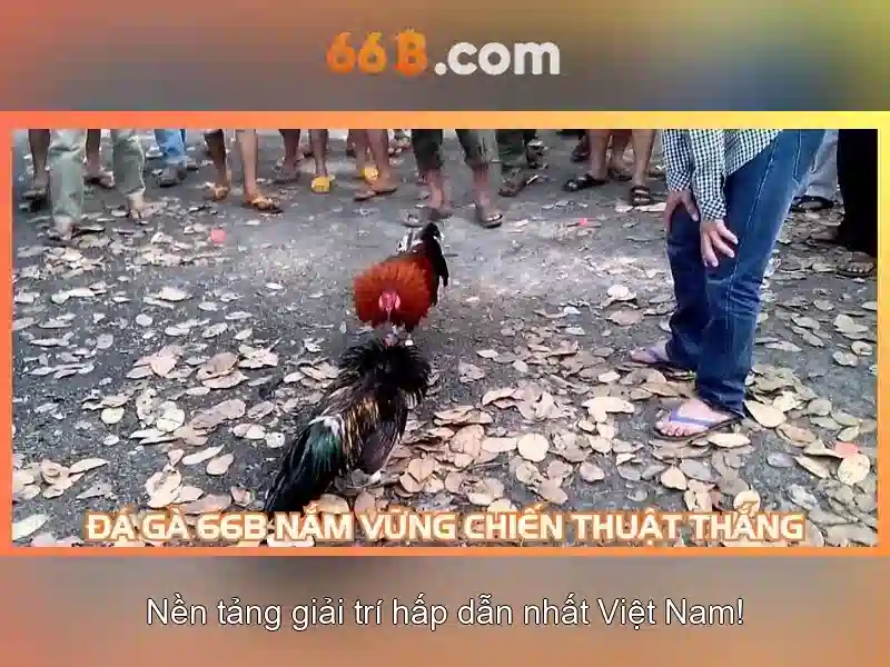 Ứng dụng và thách thức