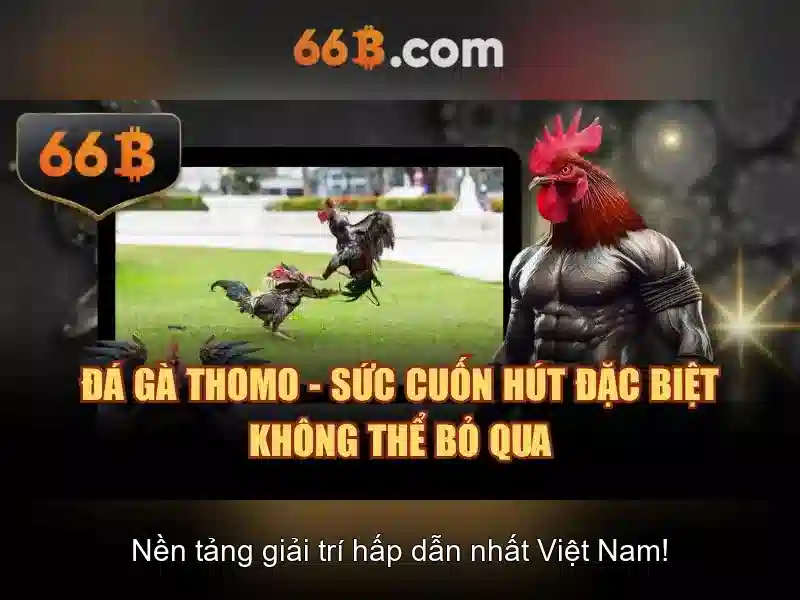 66b và những khía cạnh nổi bật