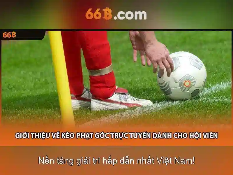 66B là gì?