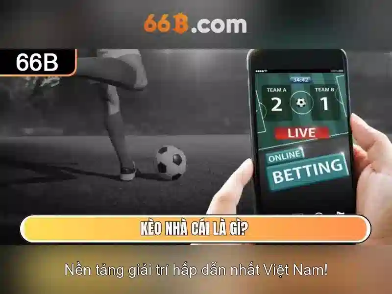 Một bài viết về 66b bằng tiếng Việt