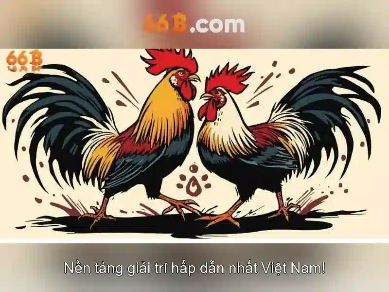 66B là gì và những điều cần biết