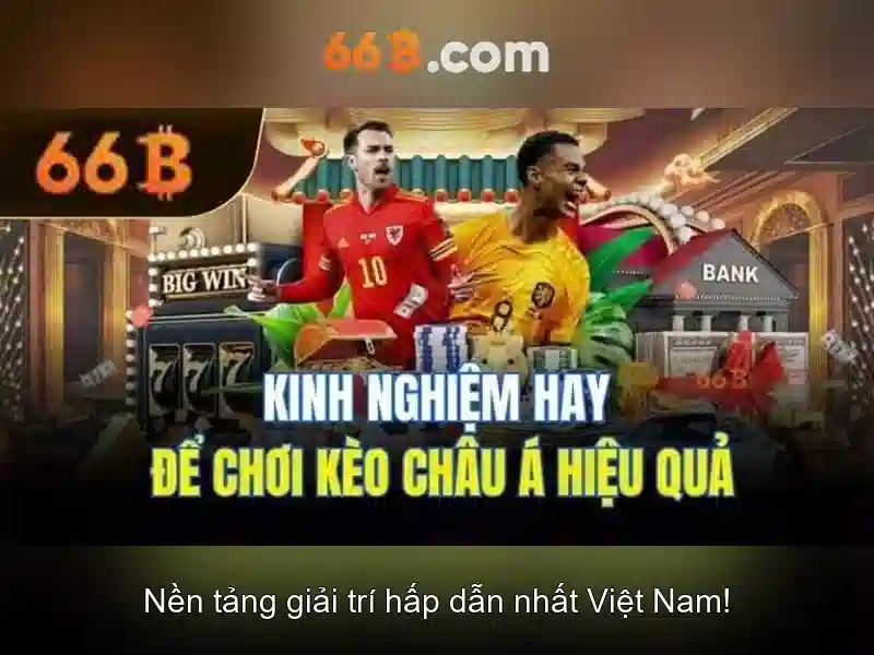 Khái niệm cơ bản của 66B