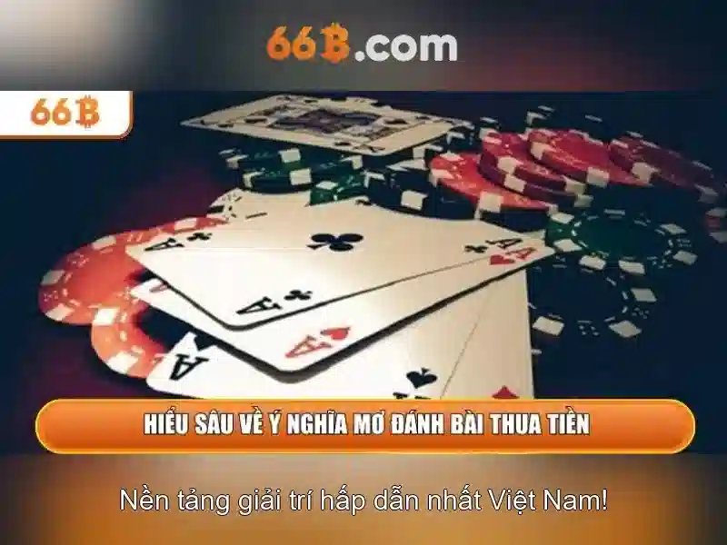 66B là gì
