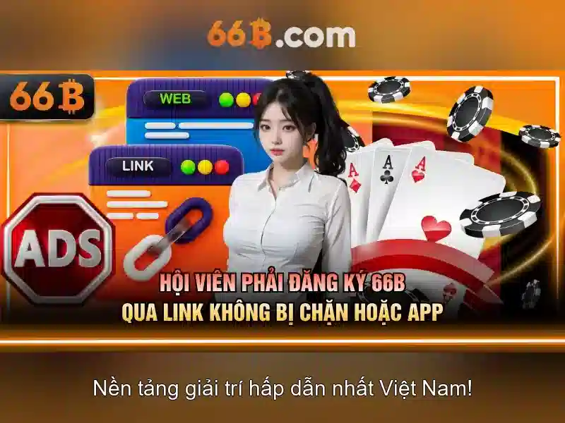 Khái niệm cơ bản về 66B