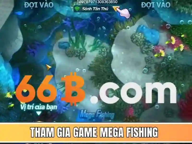 Khái niệm 66b và ý nghĩa của nó