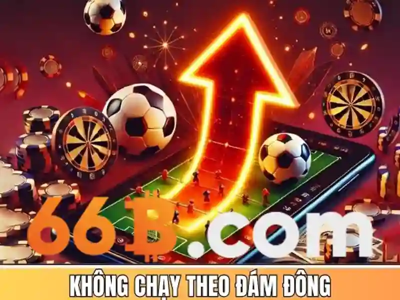 Lĩnh vực ứng dụng của 66b
