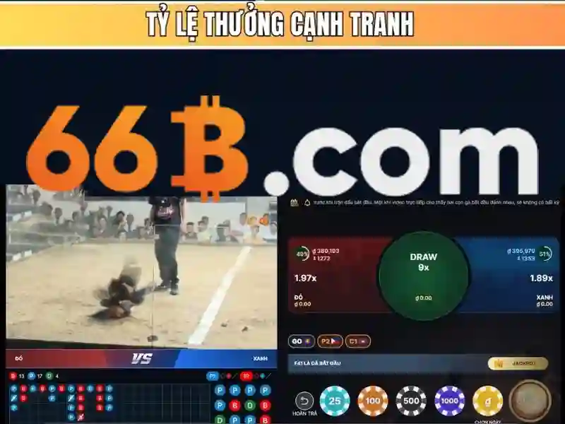 Những thách thức và giới hạn của 66b