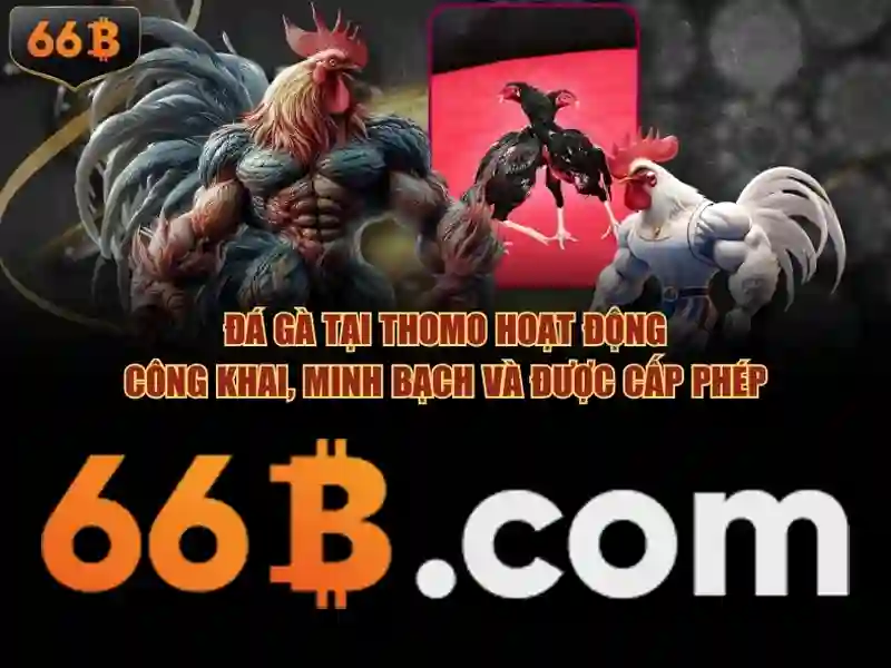 66b là gì và những ứng dụng của nó